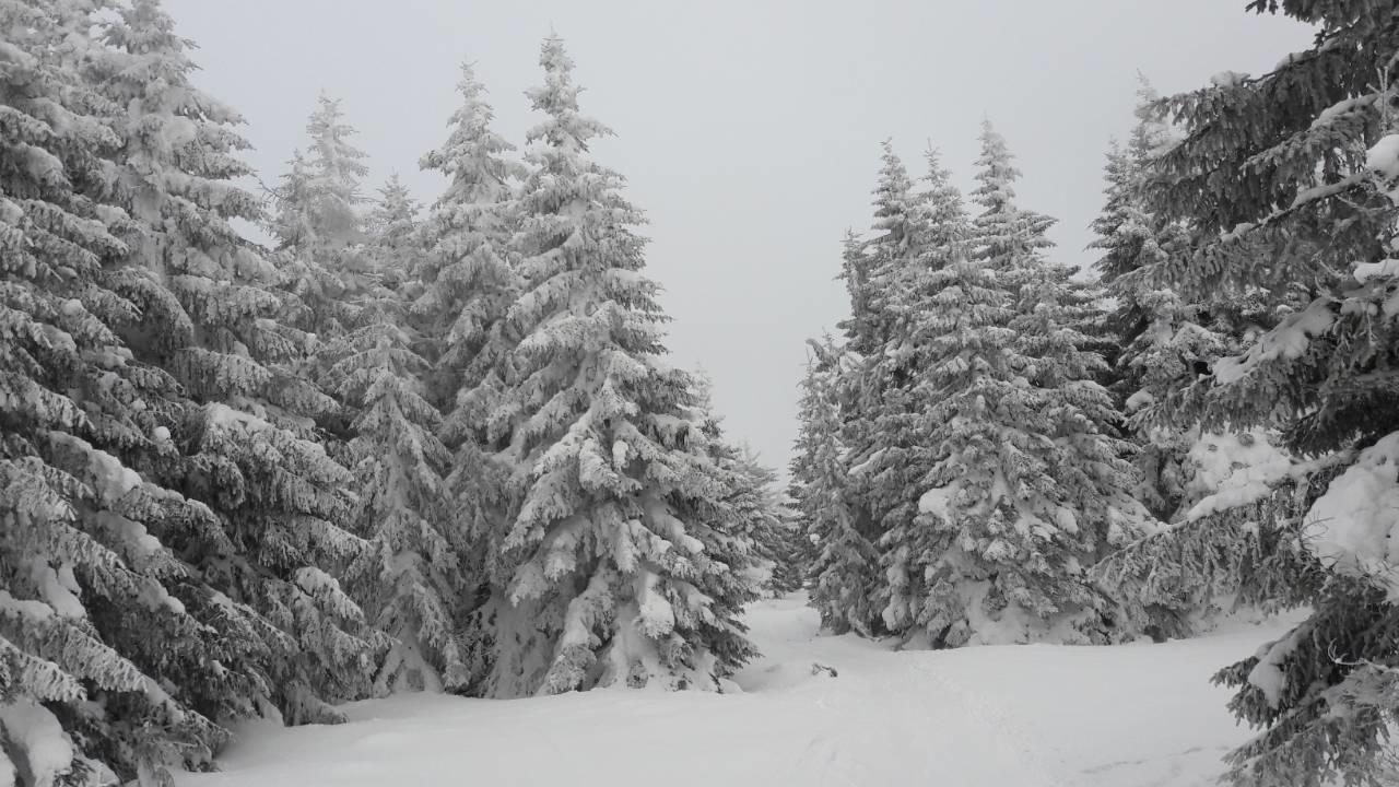 Lux Apartman B1 Milmari Kopaonik Esterno foto